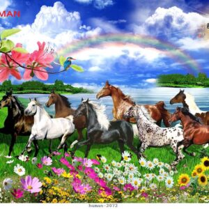 Tranh dán tường Cần Thơ 2072