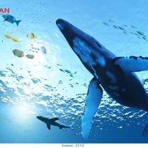 Tranh dán tường Cần Thơ 2152
