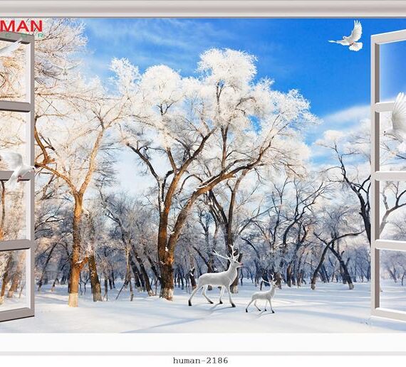 Giấy dán tường Cần Thơ