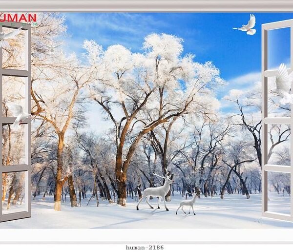 Giấy dán tường Cần Thơ