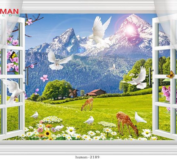 Giấy dán tường Cần Thơ