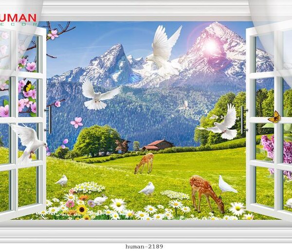 Giấy dán tường Cần Thơ