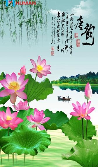 Giấy dán tường Cần Thơ