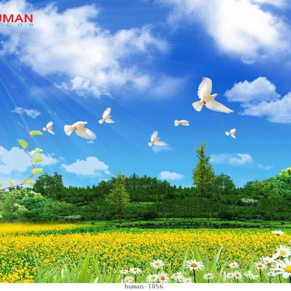 Giấy dán tường Cần Thơ