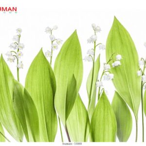 Tranh dán tường Cần Thơ 1080