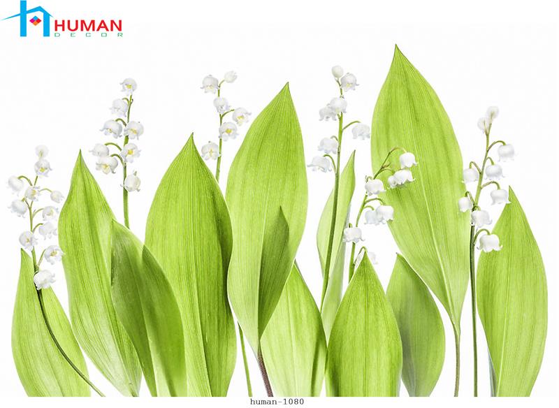 Tranh dán tường Cần Thơ 1080