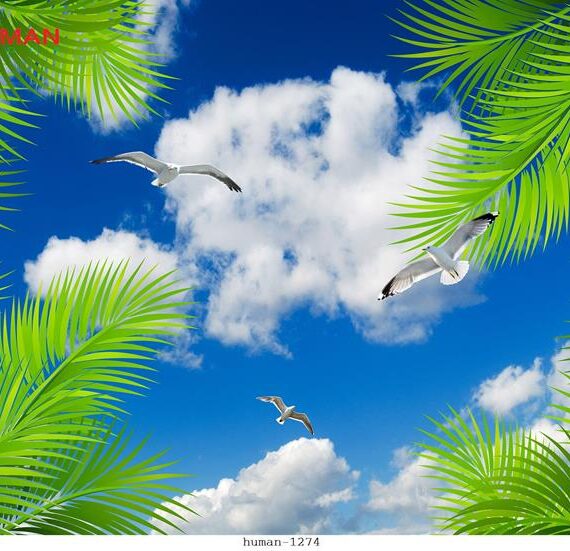 tranh-dan-tuong-can-tho-human-1274