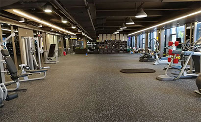 Bộ sưu tập thảm trải sàn Phòng gym